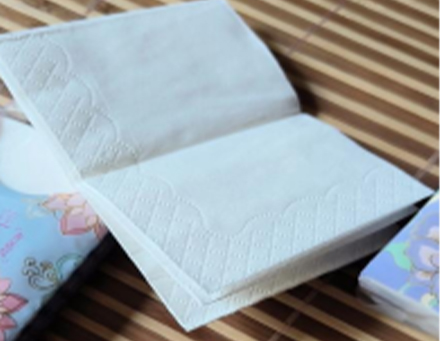 Lotion Tissue Pouch